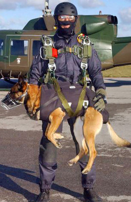 K9 Storm tactical harness for SEAL war dogs